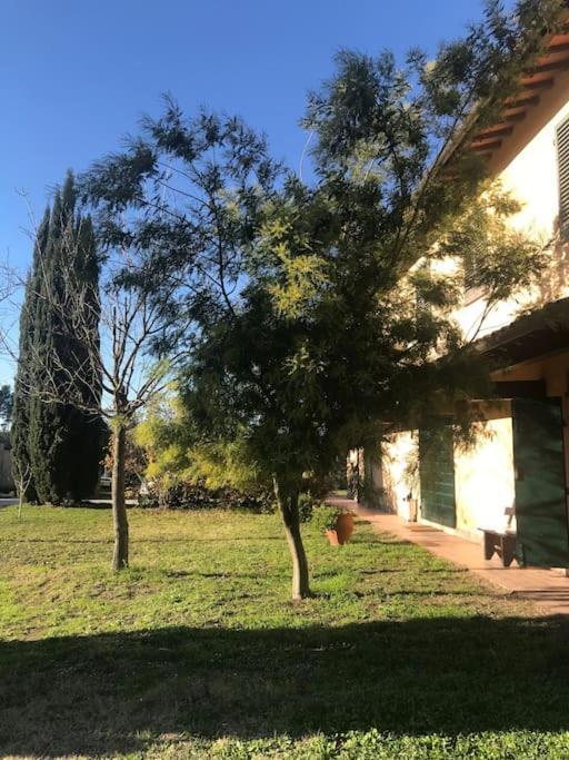 Canneto  Casa Isabelle 아파트 외부 사진