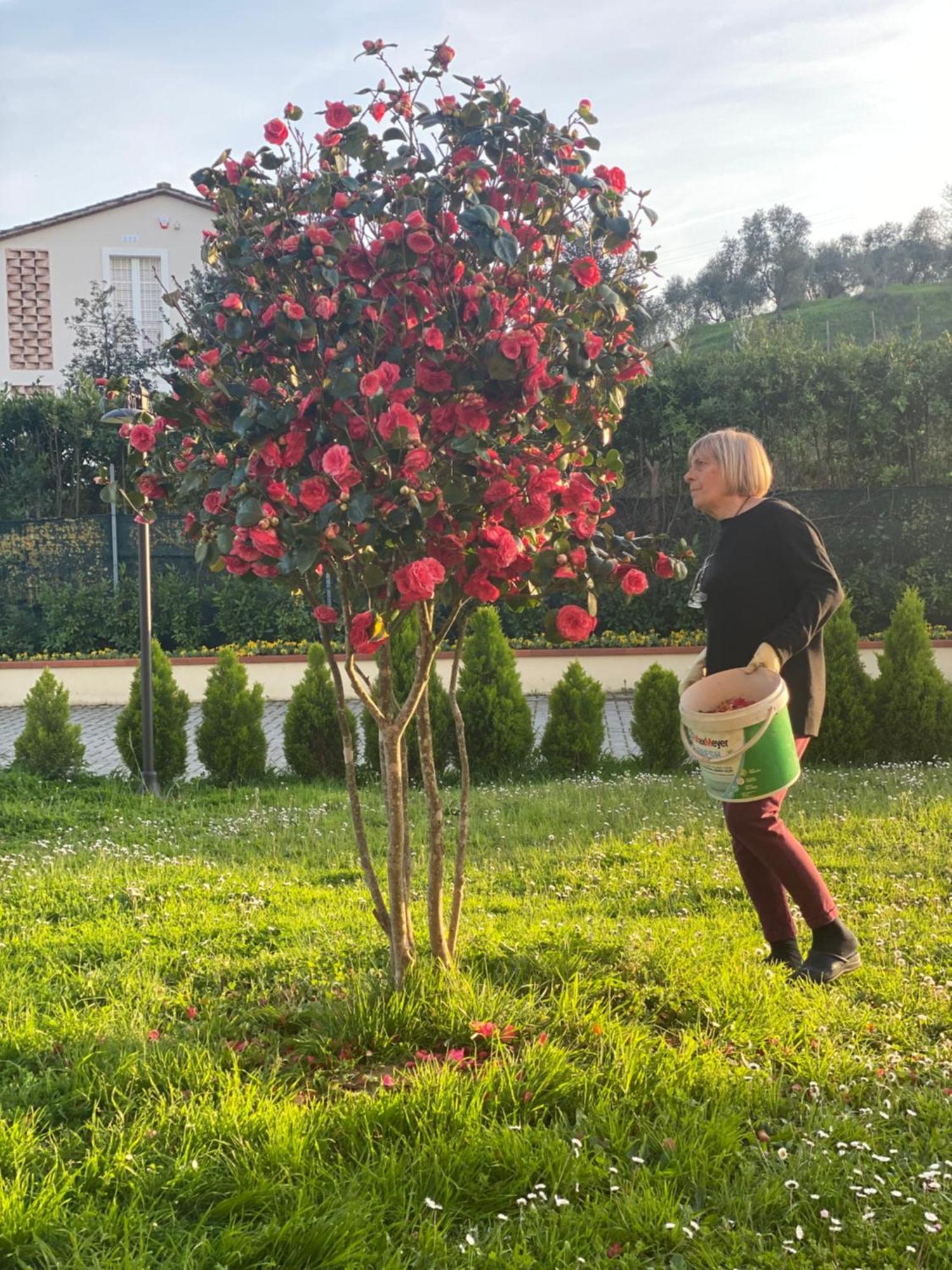 Canneto  Casa Isabelle 아파트 외부 사진